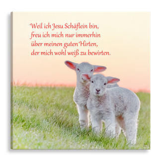 Bild auf Künstlerleinwand „Jesu Schäflein“ (Lämmer – quadratisch)