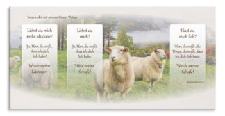 Bild auf Künstlerleinwand „Liebst du mich?“ (Schafe)