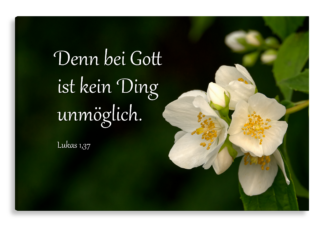 Bild auf Künstlerleinwand „Bei Gott ist kein Ding unmöglich“ (Pfeifenstrauch)