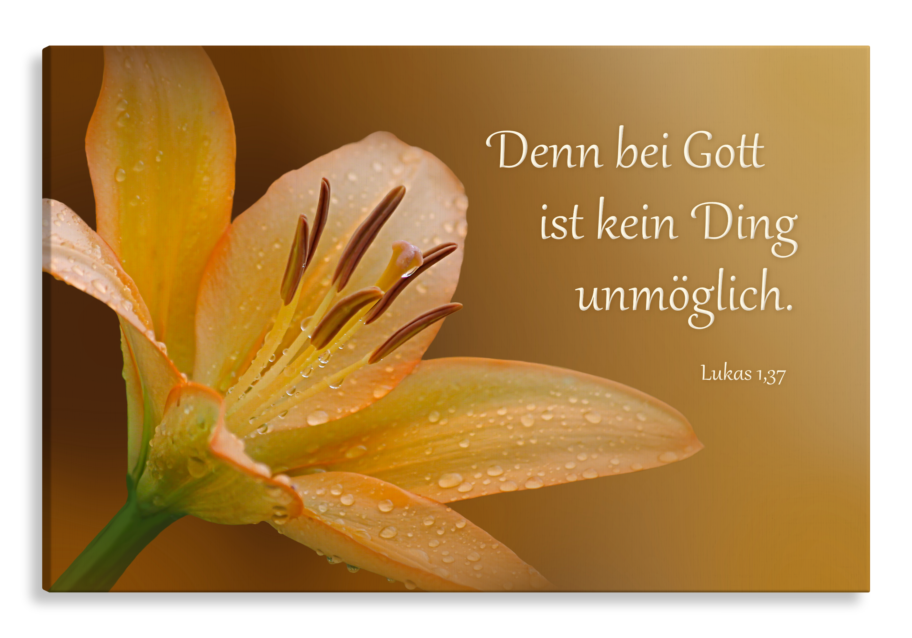 Bild auf Künstlerleinwand „Bei Gott ist kein Ding unmöglich“ (Lilie – braun)