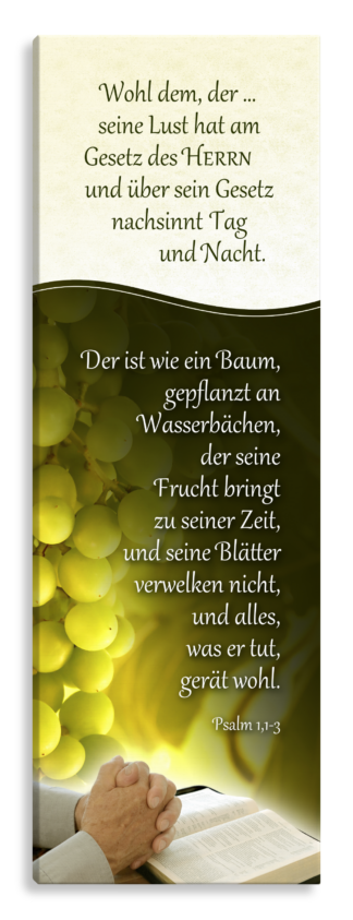 Bild auf Künstlerleinwand „Psalm 1“ (Bibel – Rebe)