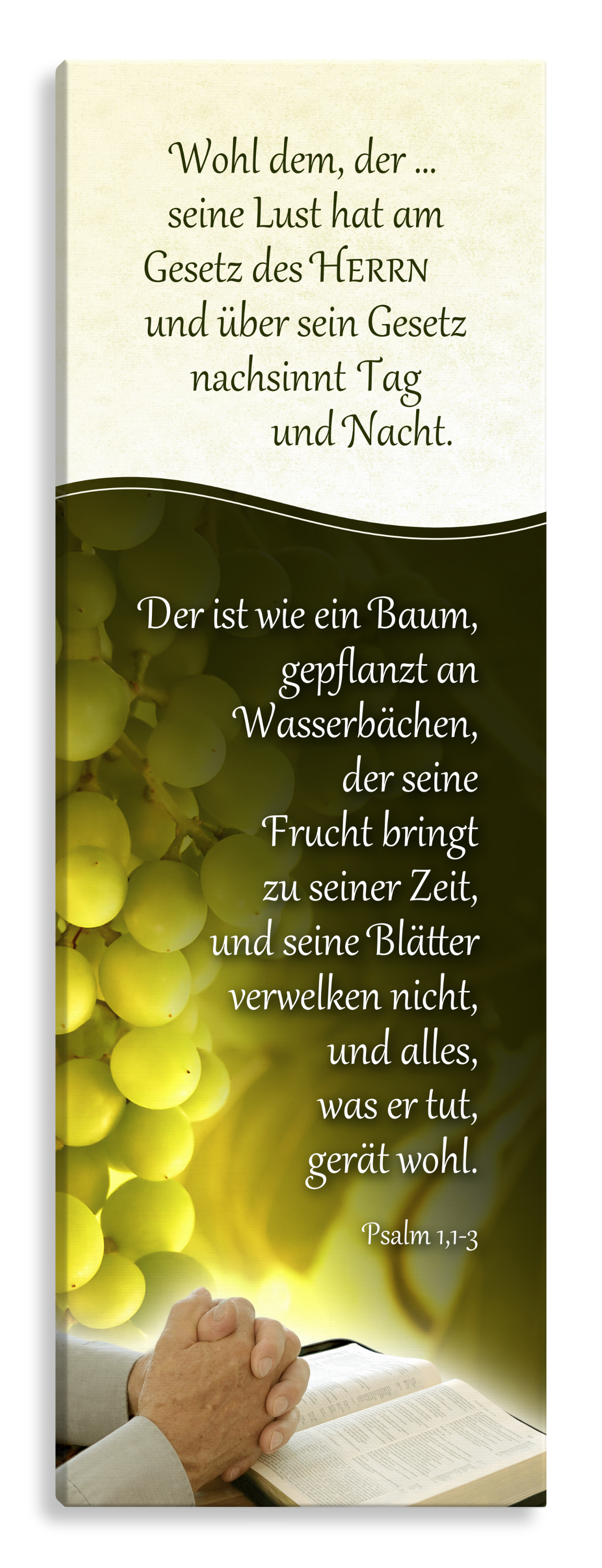 Bild auf Künstlerleinwand „Psalm 1“ (Bibel – Rebe)