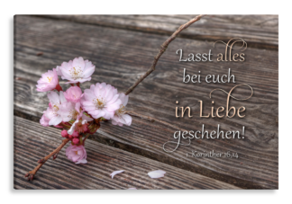 Bild auf Künstlerleinwand „Alles in Liebe“ (Blütenzweig)