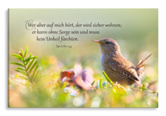 Bild auf Künstlerleinwand „Sicher wohnen“ (Zaunkönig)