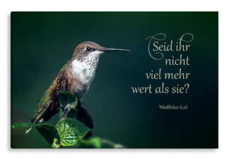 Bild auf Künstlerleinwand „Seid ihr nicht viel mehr wert“ (Kolibri)
