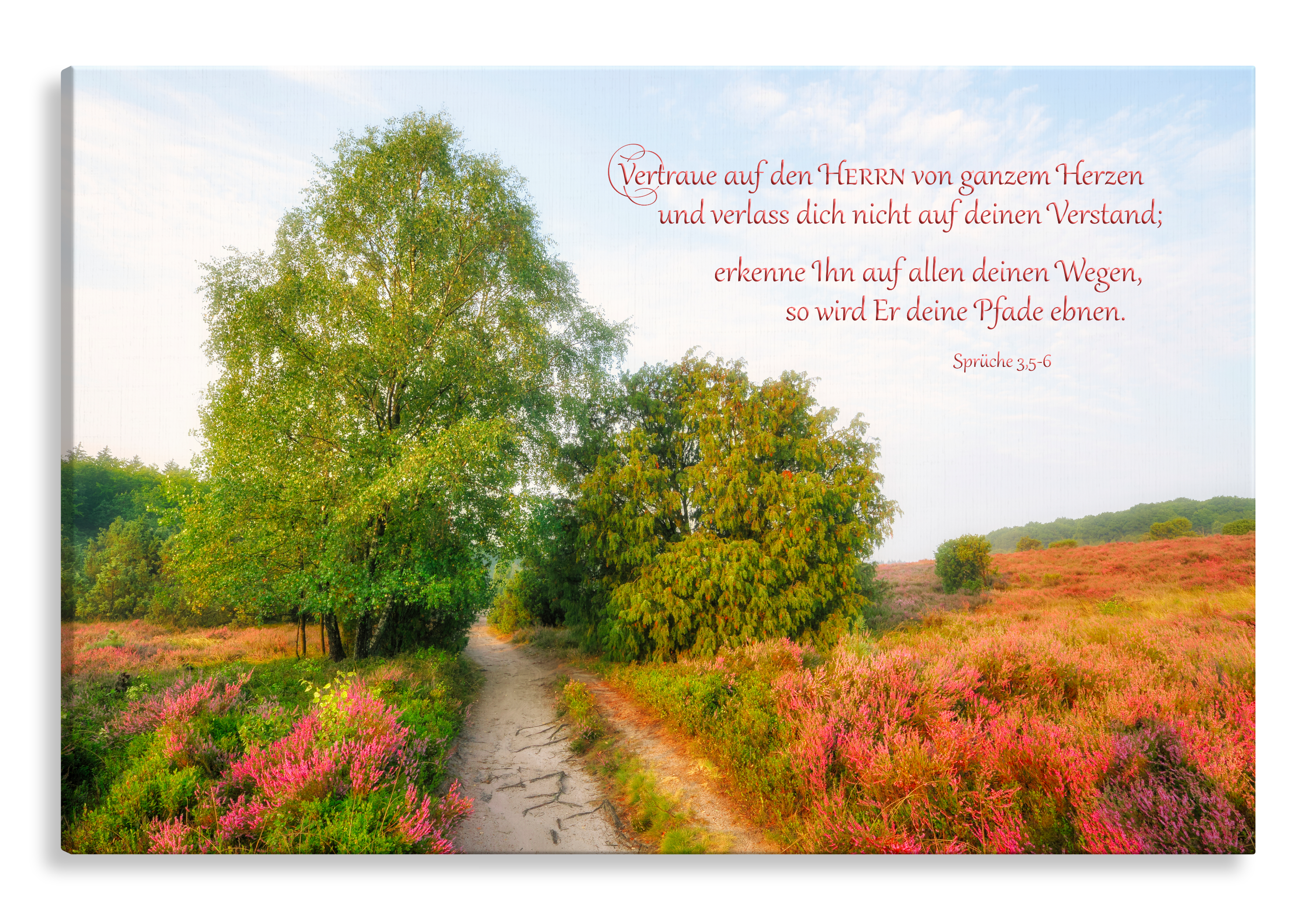 Bild auf Künstlerleinwand „Erkenne Ihn auf deinen Wegen“ (Heideblüten – Weg)