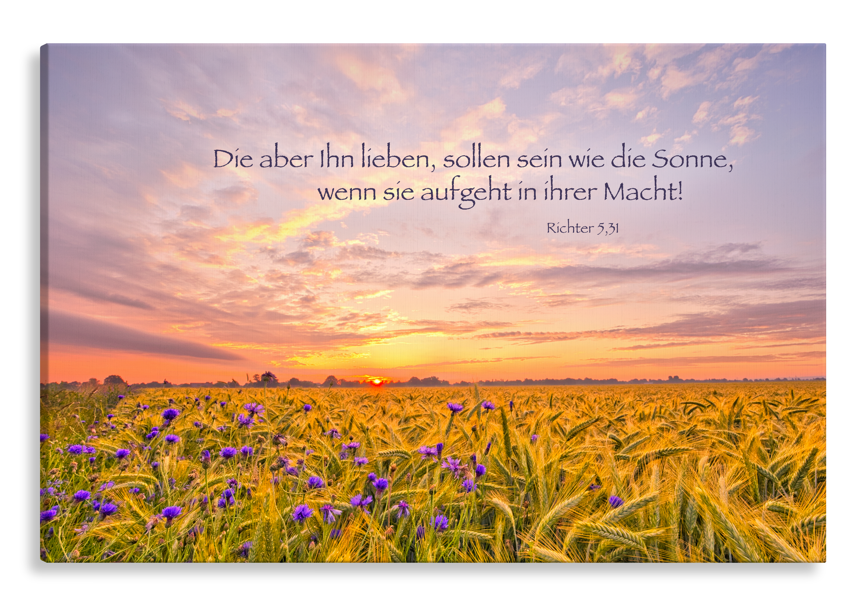 Bild auf Künstlerleinwand „Sein wie die Sonne“ (Feld – Sonnenaufgang)