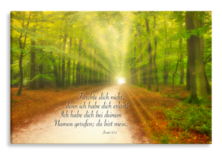 Bild auf Künstlerleinwand „Ich habe dich erlöst“ (Waldweg)