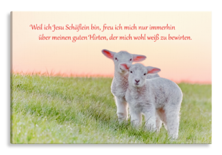 Bild auf Künstlerleinwand „Jesu Schäflein“ (Lämmer)