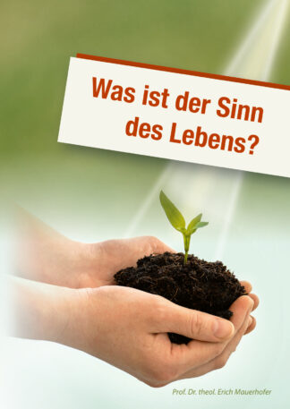 Flyer – Was ist der Sinn des Lebens? (A6, 4-seitig)