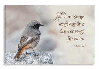 Bild auf Künstlerleinwand „Alle Sorge werft auf ihn“ (Hausrotschwanz)