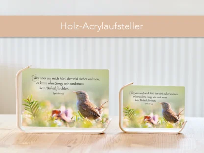 Holz-Acrylaufsteller „Sicher wohnen“ (Zaunkönig) – Bild 3