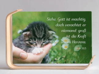 Holz-Acrylaufsteller "Gott ist mächtig" (Kätzchen)