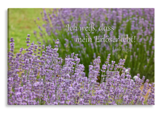 Bild auf Künstlerleinwand „Mein Erlöser lebt“ (Lavendel)