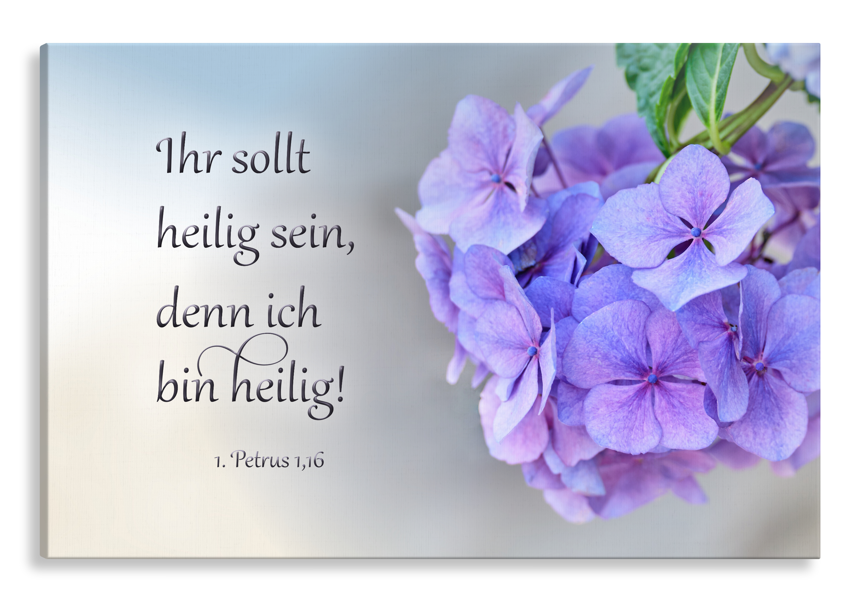 Bild auf Künstlerleinwand „Ihr sollt heilig sein“ (Hortensien)