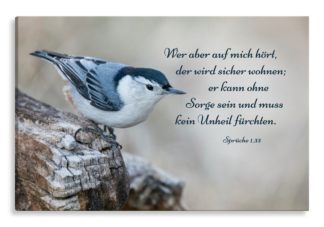 Bild auf Künstlerleinwand „Sicher wohnen“ (Kleiber)