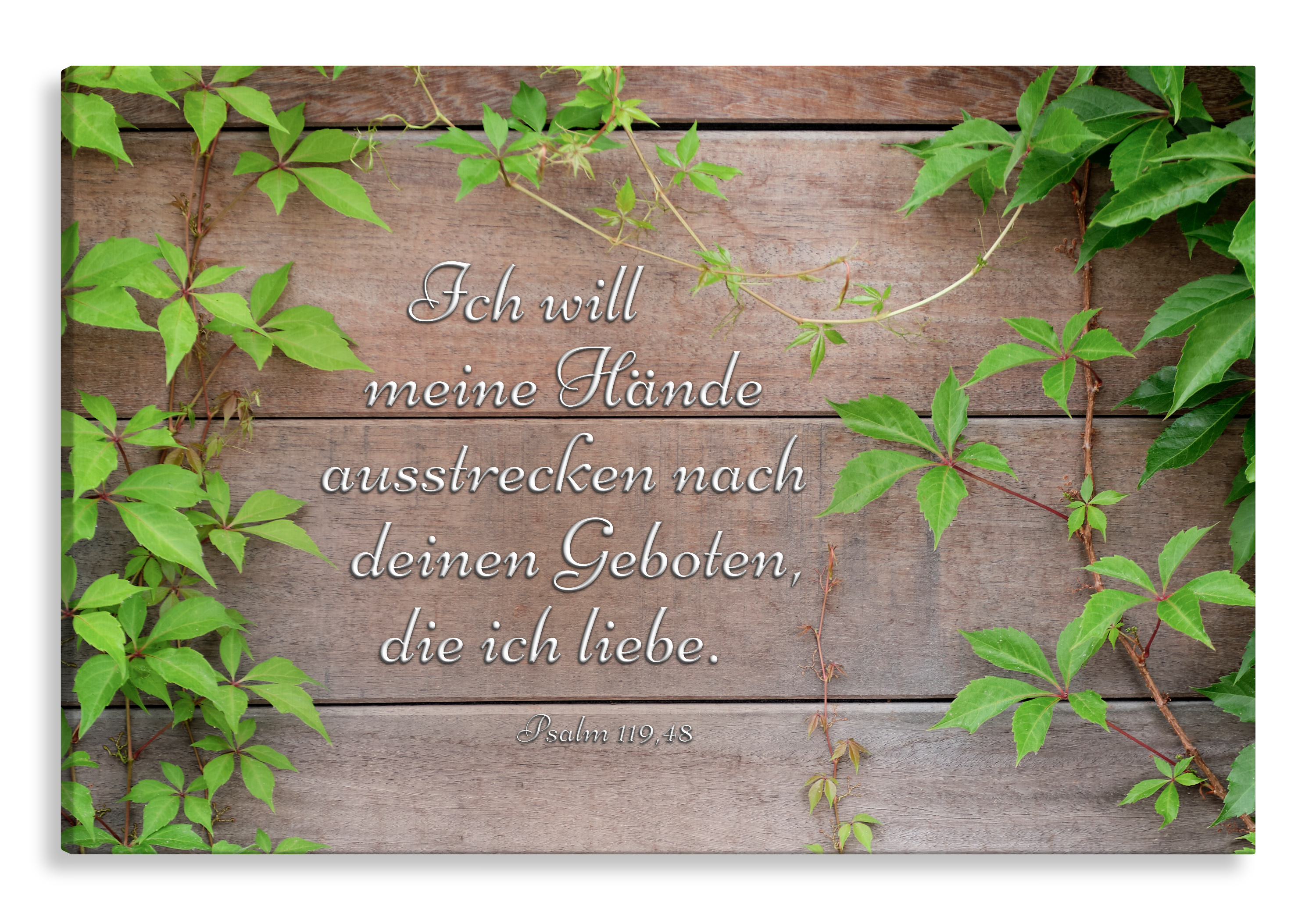 Bild auf Künstlerleinwand „Ausstrecken nach deinem Wort“ (Holzoptik)