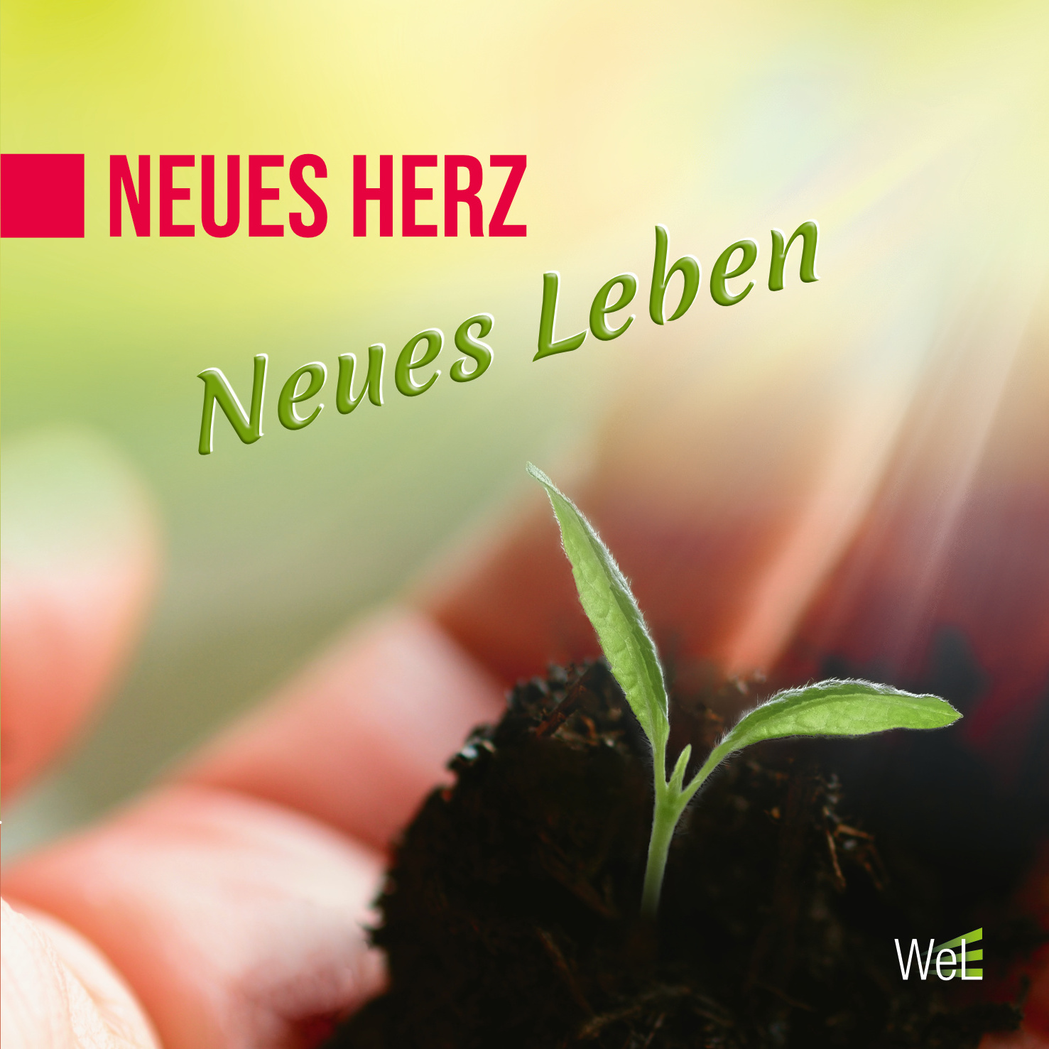 CD – Neues Herz – Neues Leben – Bild 2
