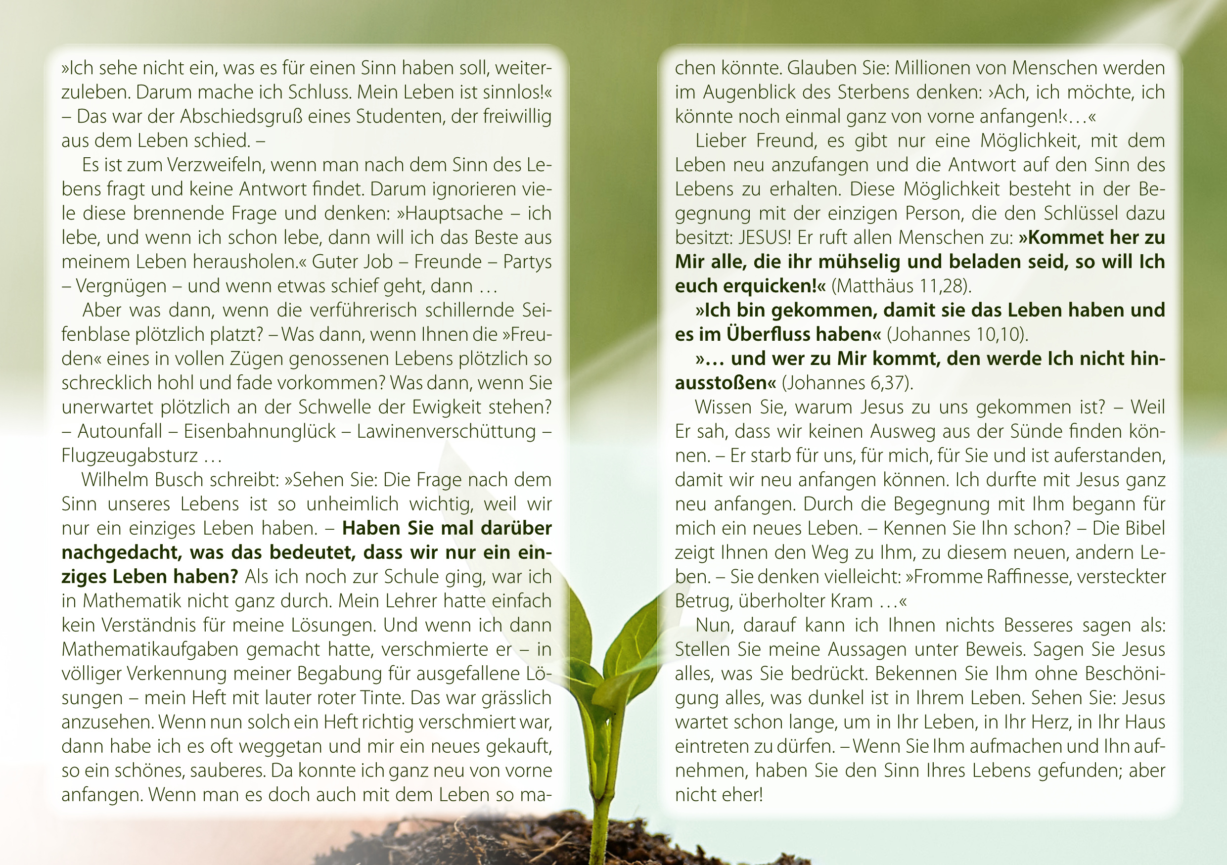 Flyer – Was ist der Sinn des Lebens? (A6, 4-seitig) – Bild 2