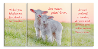 Bild auf Künstlerleinwand „Jesu Schäflein“ (Lämmer – 3-teilig)