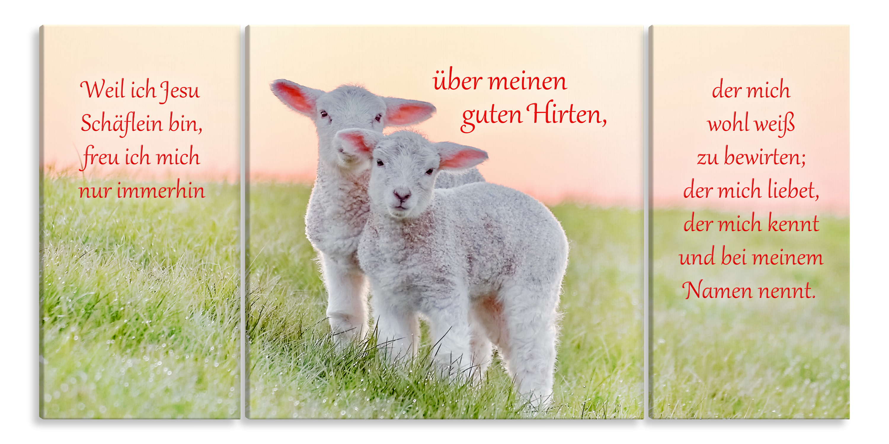 Bild auf Künstlerleinwand „Jesu Schäflein“ (Lämmer – 3-teilig)