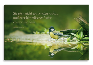 Bild auf Künstlerleinwand „Euer Vater ernährt sie“ (Kohlmeise)