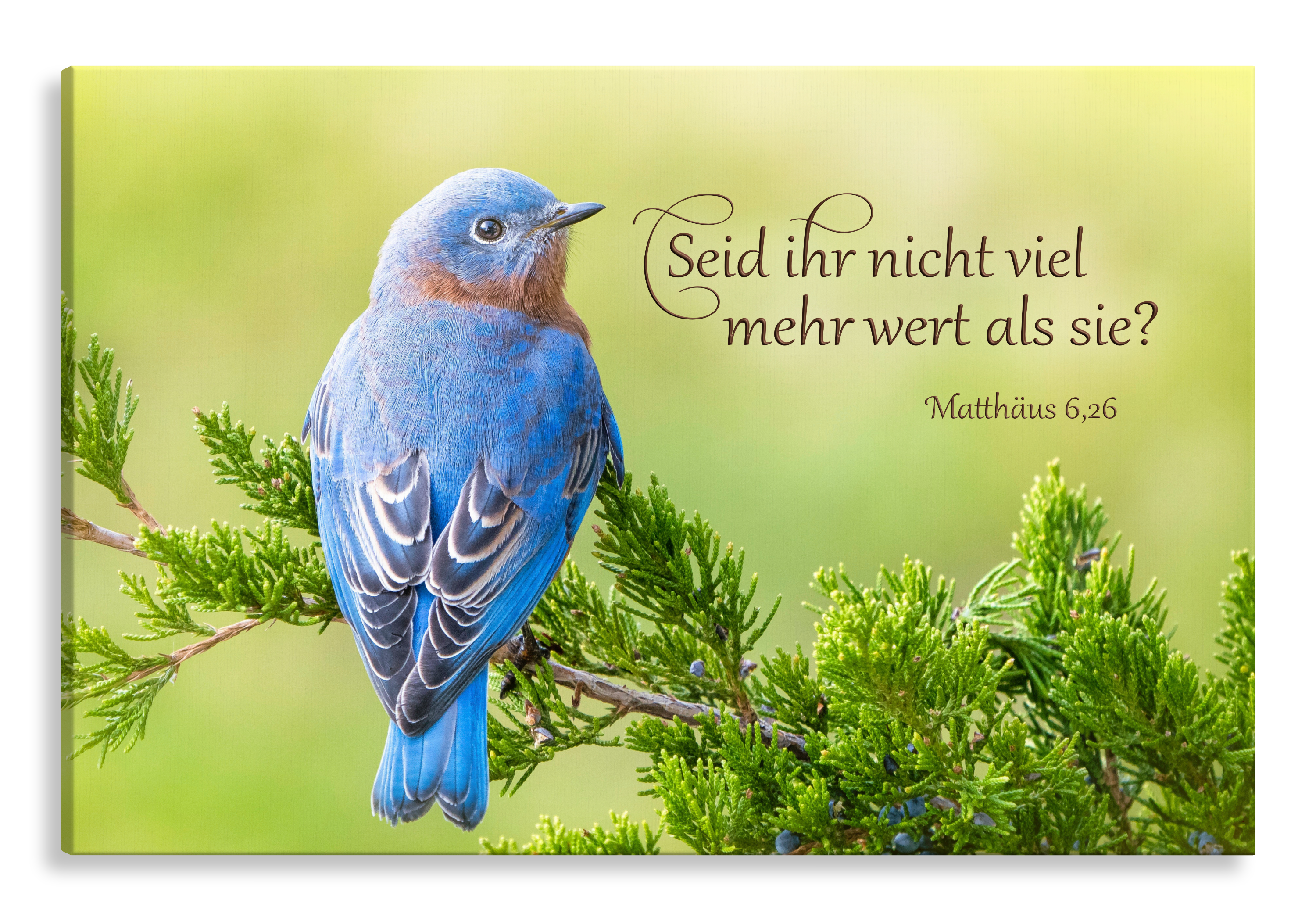 Bild auf Künstlerleinwand „Seid ihr nicht viel mehr wert“ (Hüttensänger)