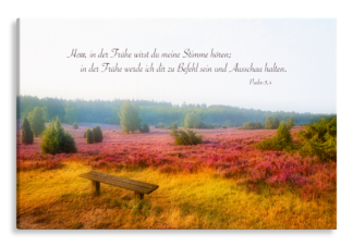 Bild auf Künstlerleinwand „In der Frühe“ (Heideblüten – Bank)