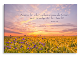 Bild auf Künstlerleinwand „Sein wie die Sonne“ (Feld – Sonnenaufgang)