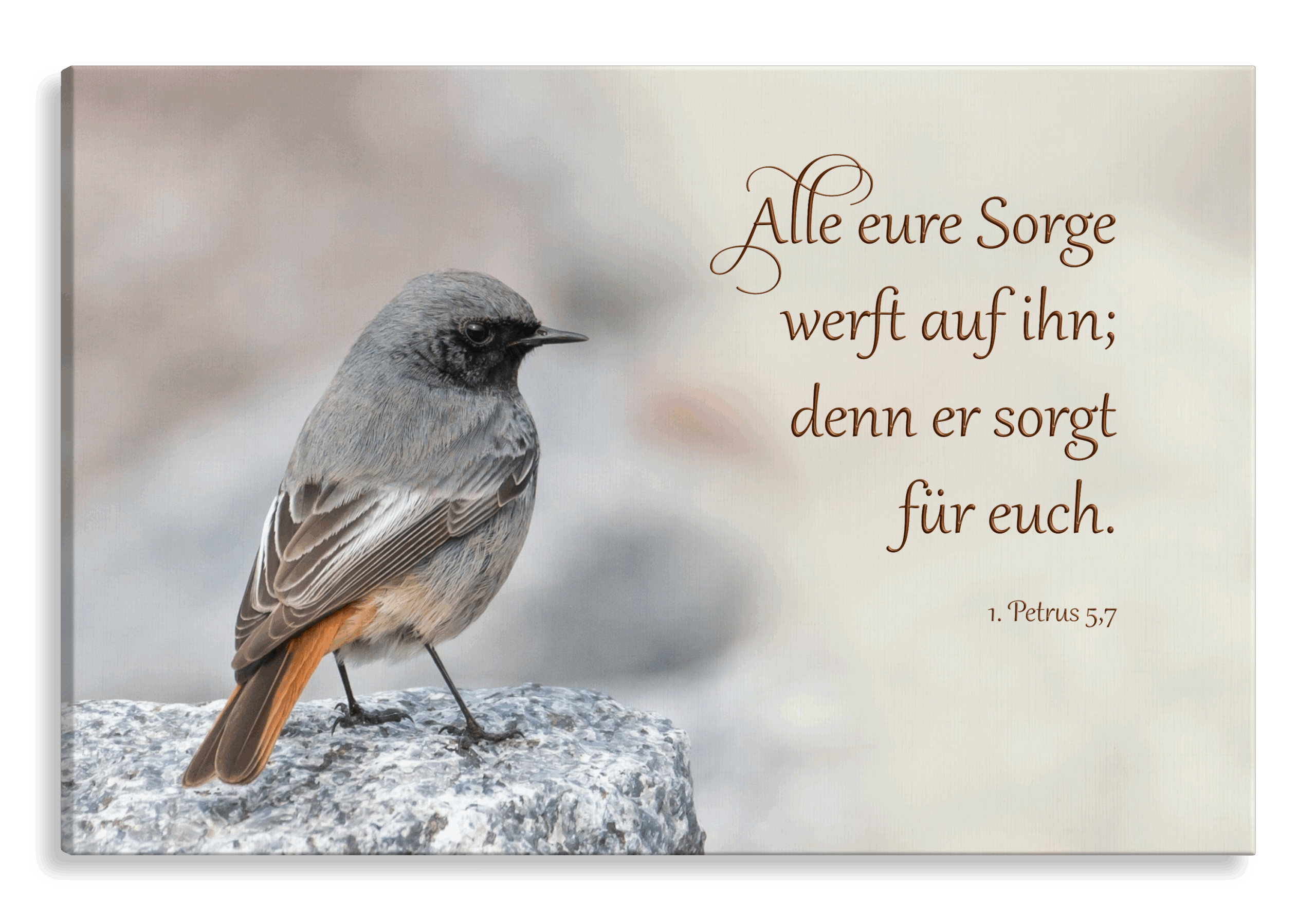Bild auf Künstlerleinwand „Alle Sorge werft auf ihn“ (Hausrotschwanz)